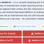 netmirror